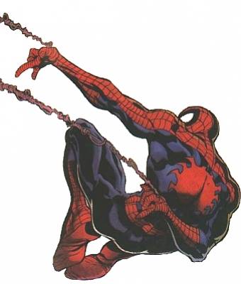 spider mas mon ami ...